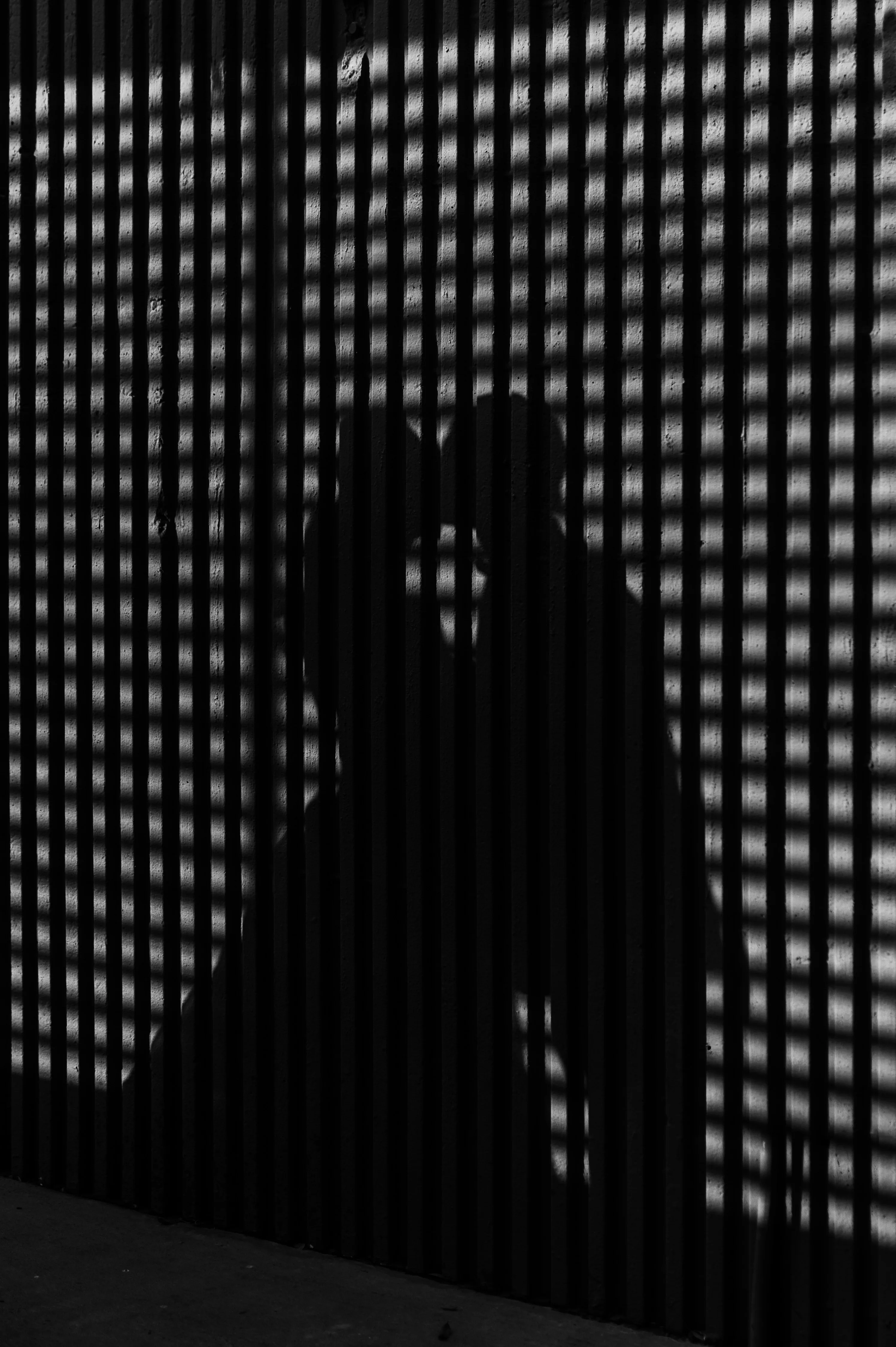 Portraits photo 51